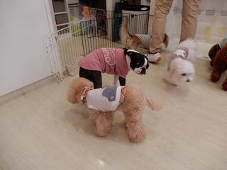 DSCN4491.jpg
