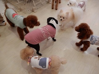 DSCN4492.jpg