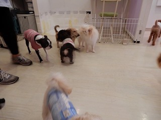 DSCN4507.jpg