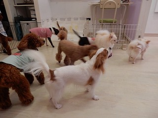 DSCN4509.jpg