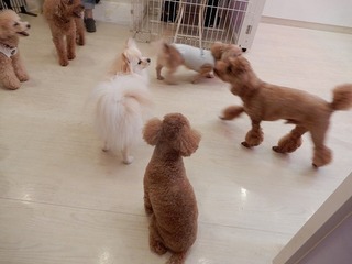 DSCN4519.jpg