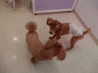 DSCN4526.jpg