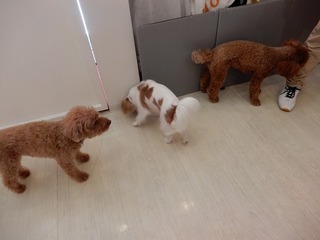 DSCN4533.jpg