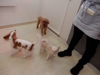 DSCN4539.jpg