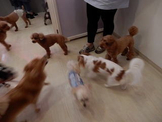DSCN4563.jpg