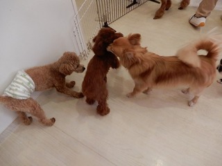 DSCN4578.jpg