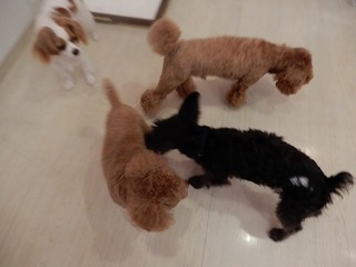 DSCN4589.jpg