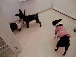 DSCN4607.jpg