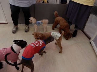DSCN4609.jpg