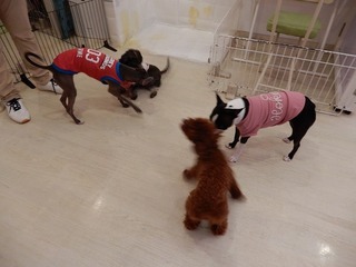 DSCN4618.jpg