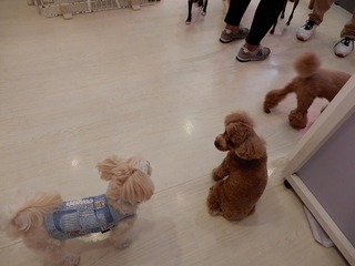 DSCN4625.jpg