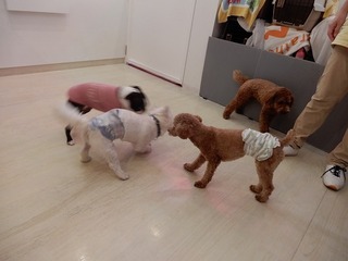 DSCN4636.jpg