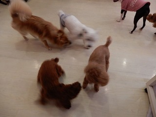 DSCN4656.jpg