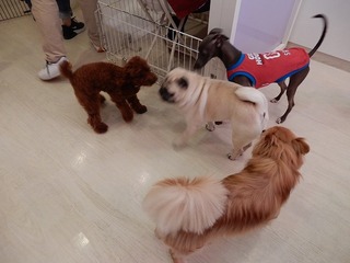 DSCN4682.jpg