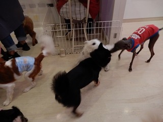 DSCN4698.jpg