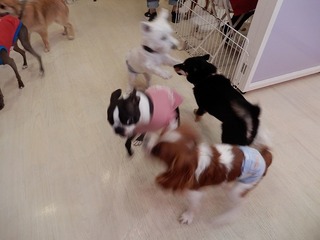 DSCN4703.jpg