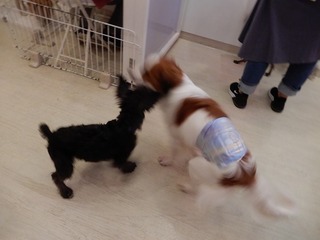 DSCN4763.jpg