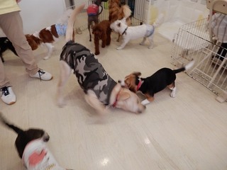 DSCN4766.jpg