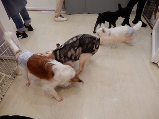 DSCN4796.jpg