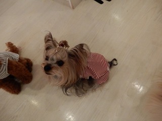 DSCN4811.jpg