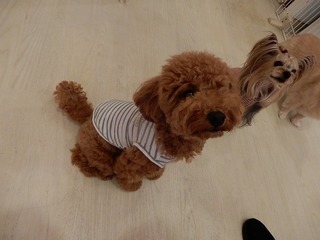 DSCN4812.jpg