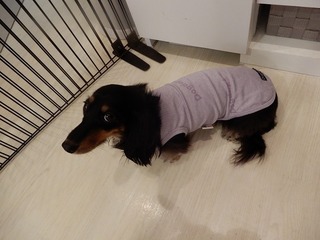 DSCN4814.jpg