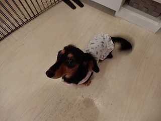 DSCN4820.jpg