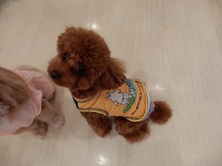 DSCN4827.jpg