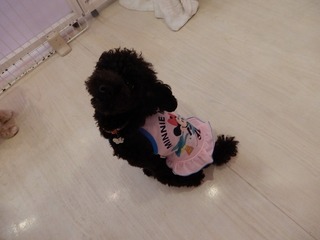 DSCN4828.jpg