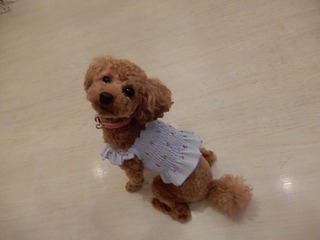DSCN4834.jpg