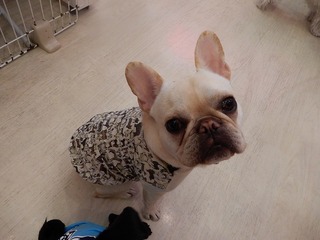 DSCN5628.jpg