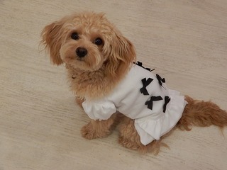 DSCN5773.jpg
