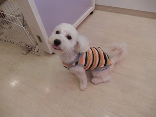 DSCN5944.jpg