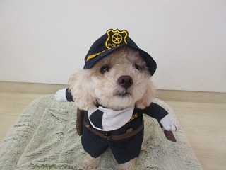 テト3歳.jpg