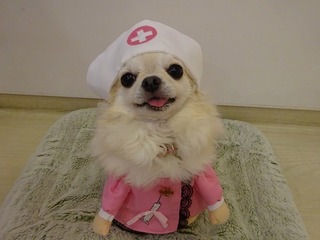 ララ3歳.jpg