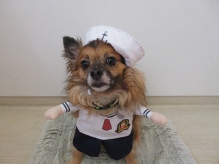 リヨン4歳.jpg