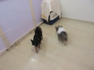IMG_0004.jpg