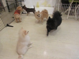 IMG_0005.jpg