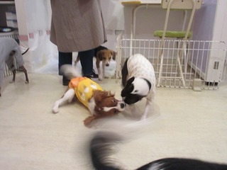 IMG_0030.jpg
