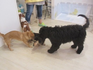 IMG_0073.jpg
