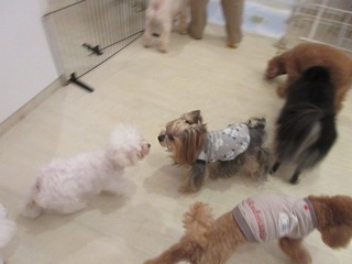 IMG_0134.jpg