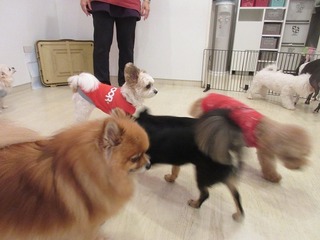 IMG_0139.jpg