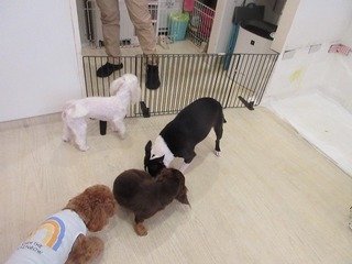 IMG_0150.jpg