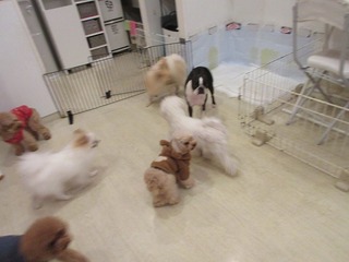 IMG_0156.jpg