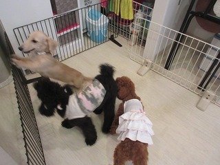 IMG_0161.jpg