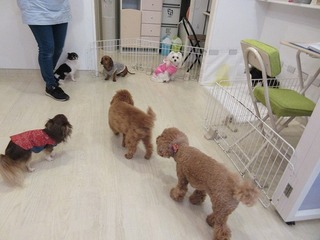 IMG_0168.jpg