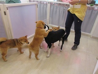 IMG_0176.jpg