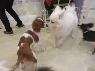 IMG_0178.jpg