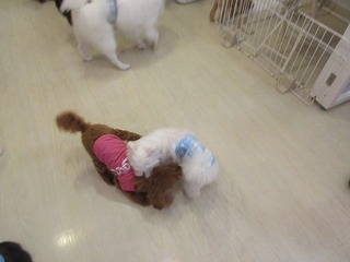 IMG_0208.jpg
