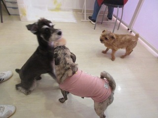 IMG_0212.jpg